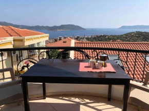 Centrally located apartment